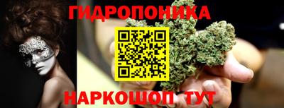 трава Славгород