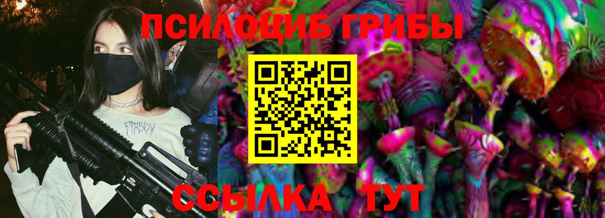 Галлюциногенные грибы Cubensis Моздок