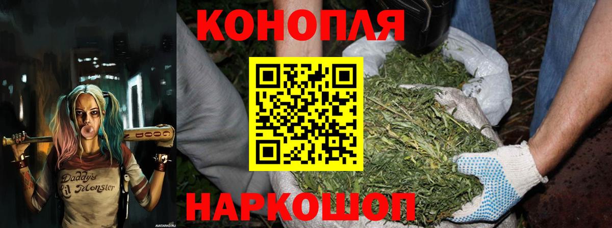 Марихуана Bruce Banner  Вход с VPN  Канабис план  Конопля тримм  Шишки марихуана OG Kush  Моздок 